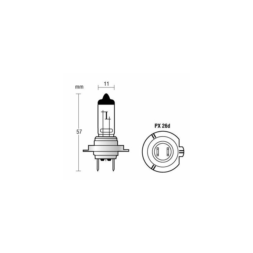 Kit lampadine plasma xenon 30 H7 12V 55W PX26d 3600K