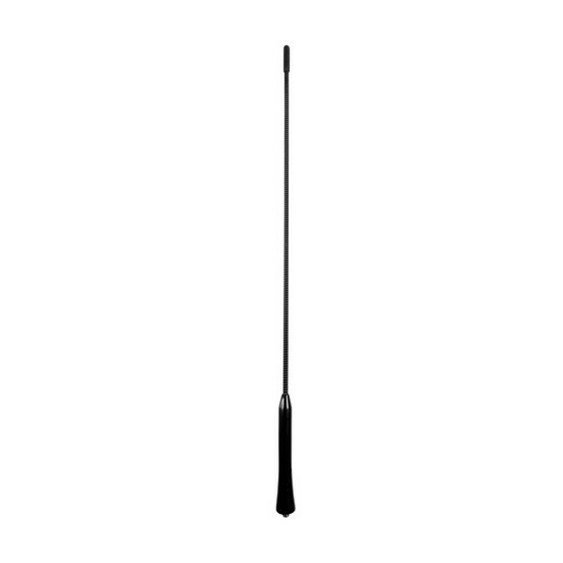 3283.jpg