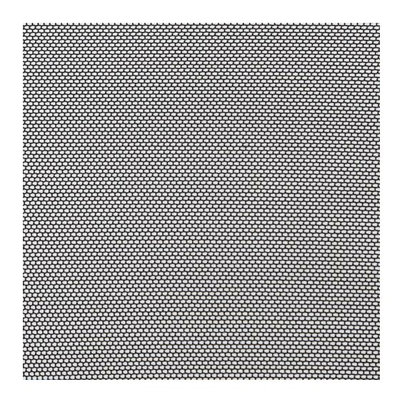 3491.jpg